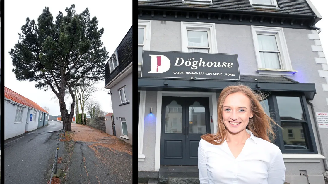 Dominika Kowalczyk of The Doghouse. Inset, the pine tree which the owners wish to have felled.              (Picture by Steve Sarre, 20891413)