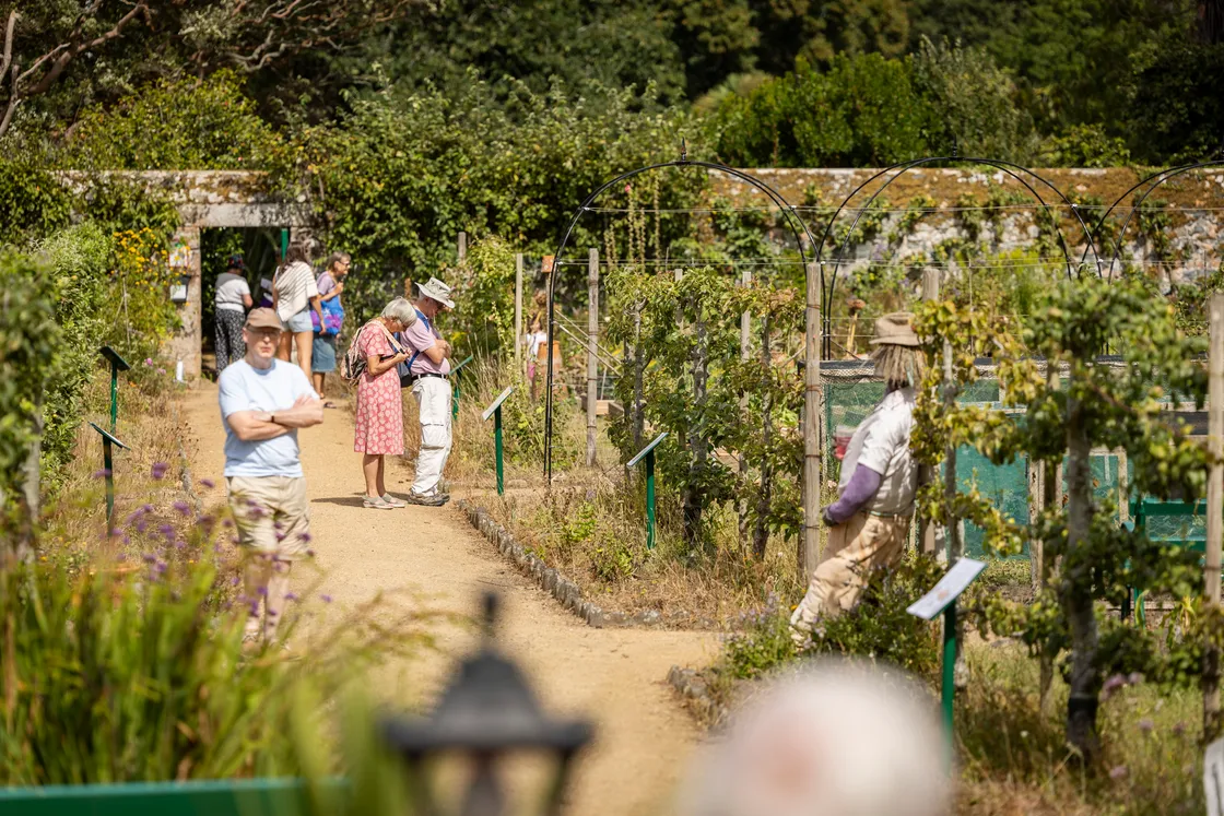 Funds raised from the day will go towards maintaining its Victorian glasshouses, replacing ageing heritage fruit trees and preserving the collection of pre-1901 fruit and vegetable varieties grown on site.