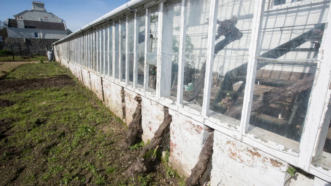 Gardener Gary Le Poidevin. (27510567)
