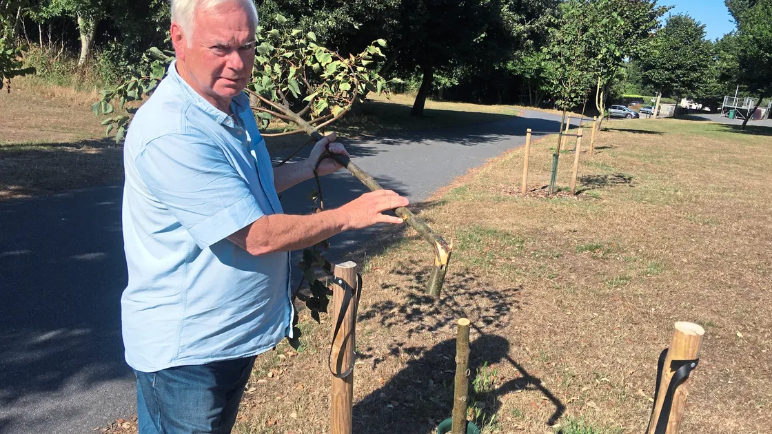 St Sampson’s senior constable Paul Le Pelley holding part of one of the damaged trees.(Picture by Zoe Fitch, 22188542)