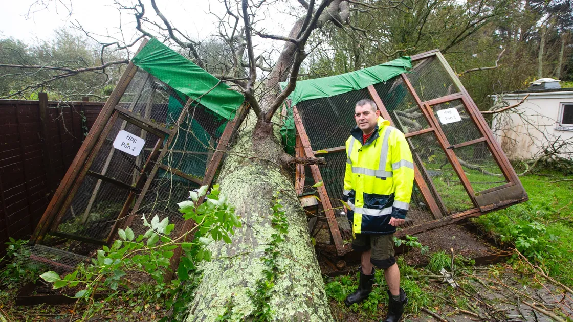 Steve Byrne at the GSPCA where there was extensive damage to outside buildings. (Picture by Peter Frankland, 32684274)