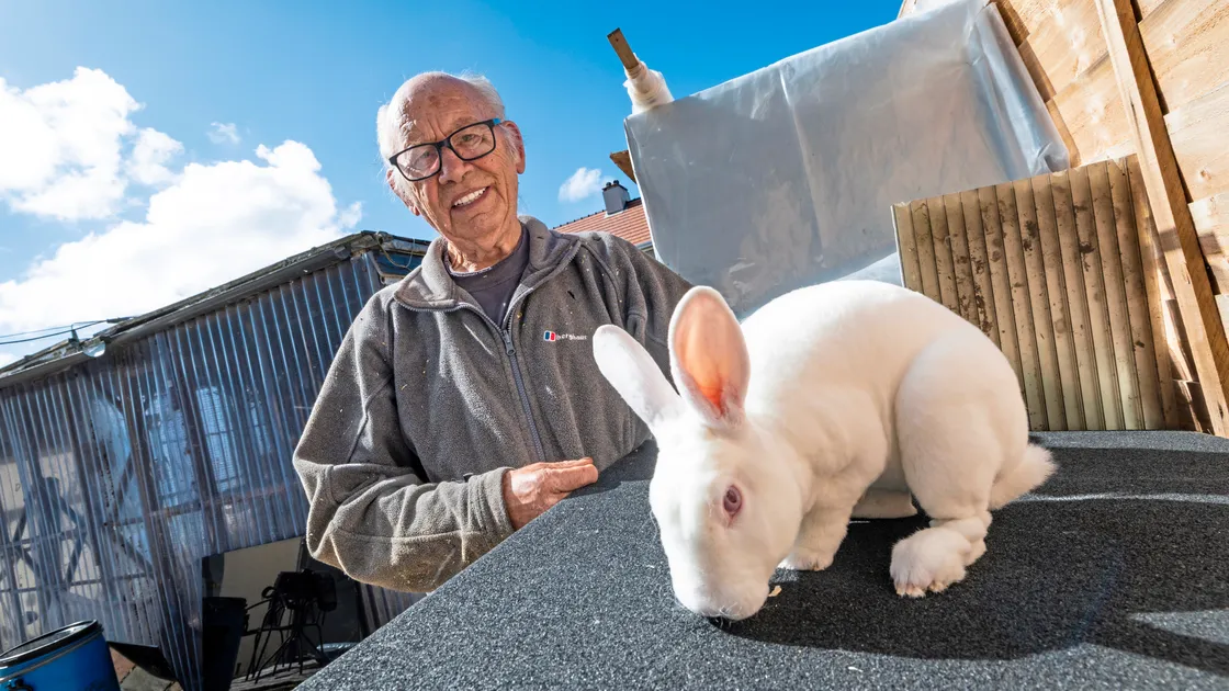 Mr Symphorien, 81, lives in a States house in Courtil St Jacques. He currently shares his property with 31 pet rabbits. And the authorities said that was too many