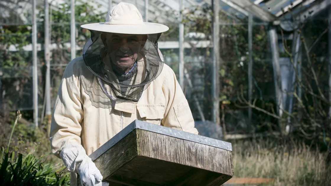 Beekeeper Mike Collins. (Picture by Adrian Miller, 29435803)