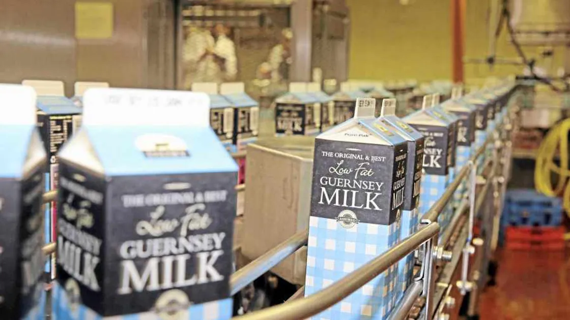 Dairy profits hit by milkmen payout