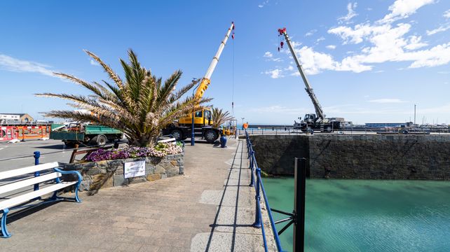 Albert and Victoria marina pontoons being replaced