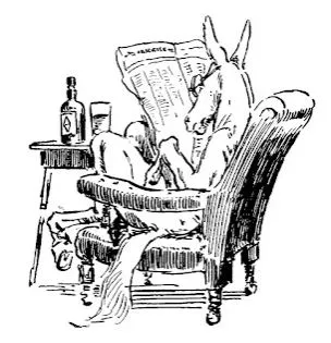 Custard the Mule