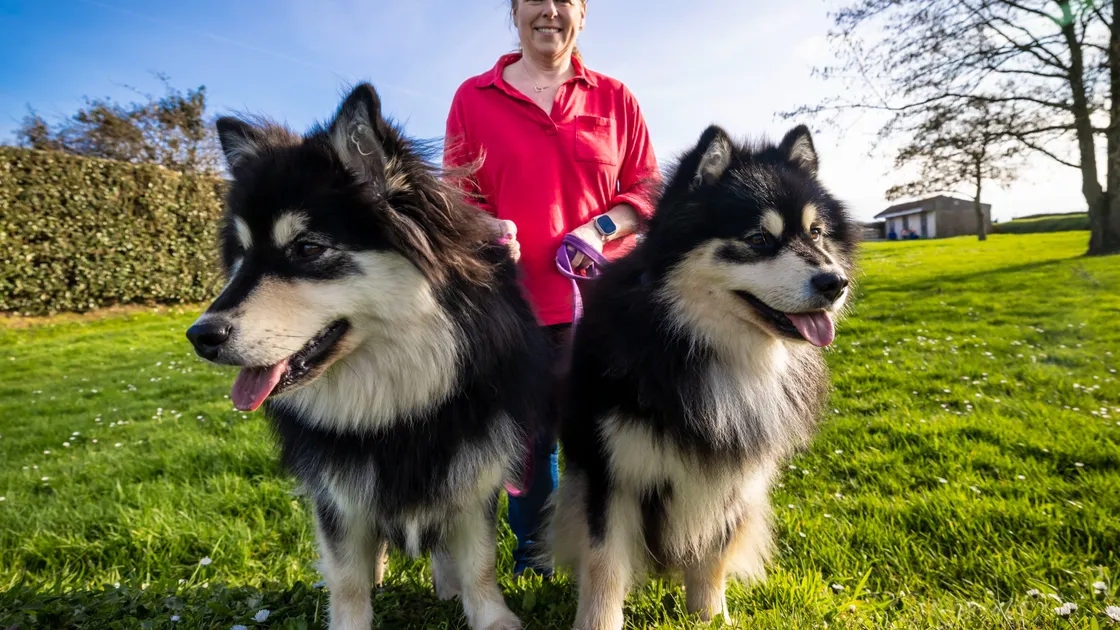 Jeanette Brache with her two Lapphunds, Oreo and Talli. (Picture by Peter Frankland, 34661593)