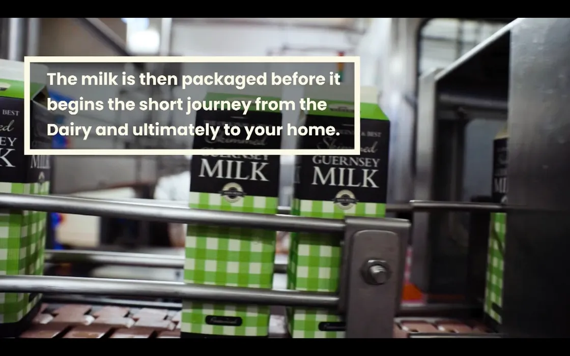 Screenshots from Guernsey Dairy's new campaign video. 