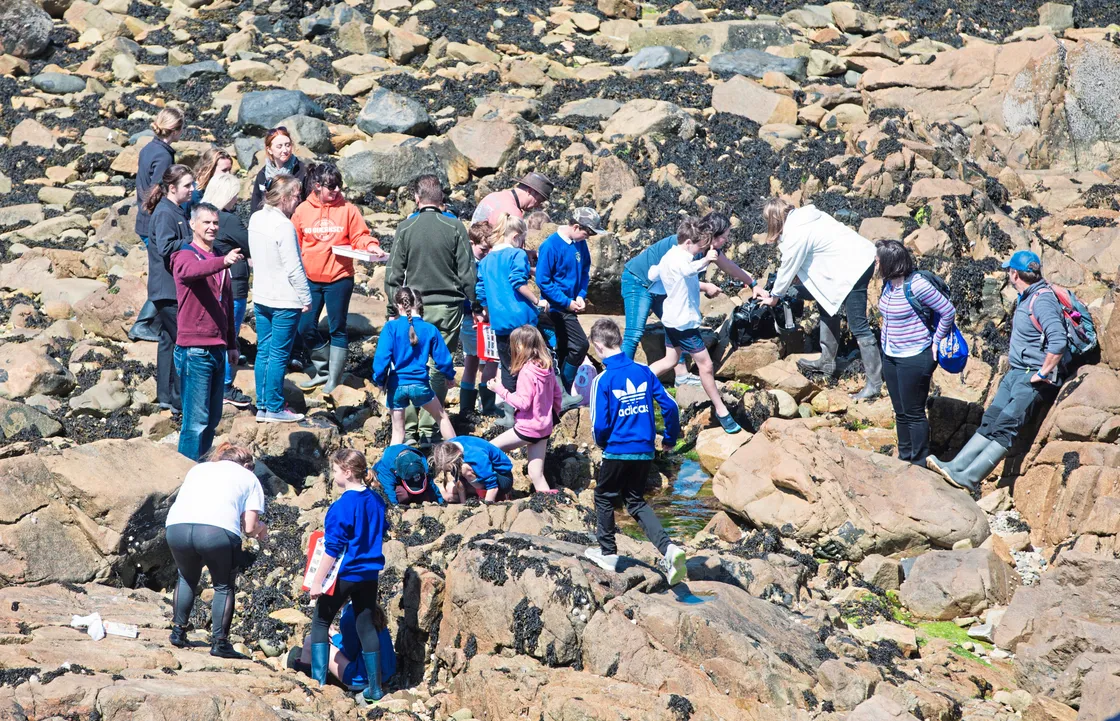 Rock pooling. (24661565)