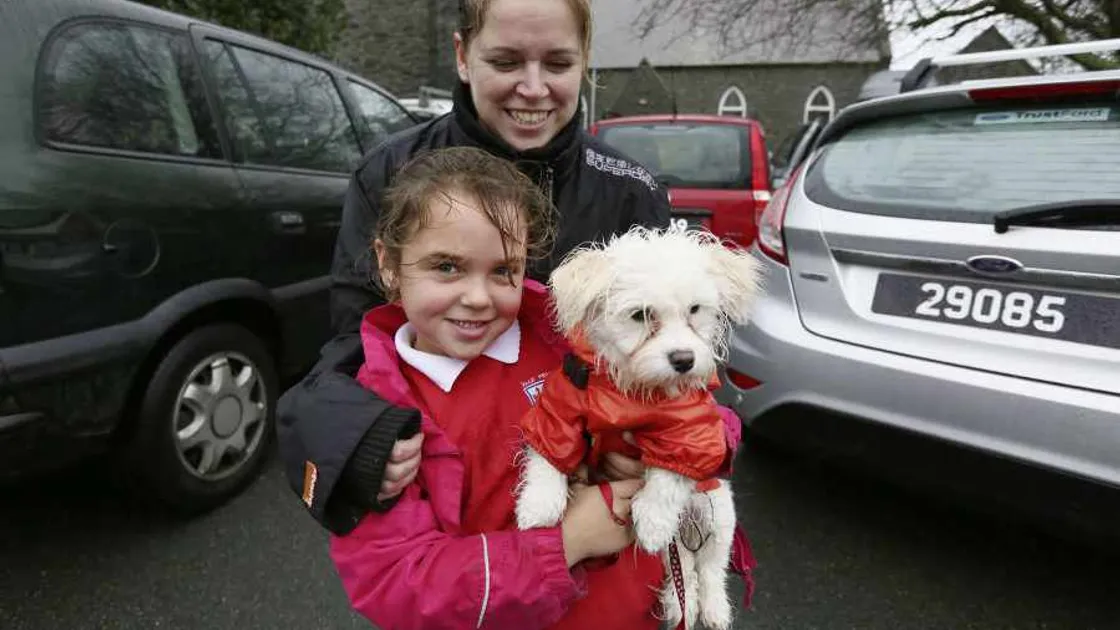 Give us spaces not tickets, say Vale Primary parents