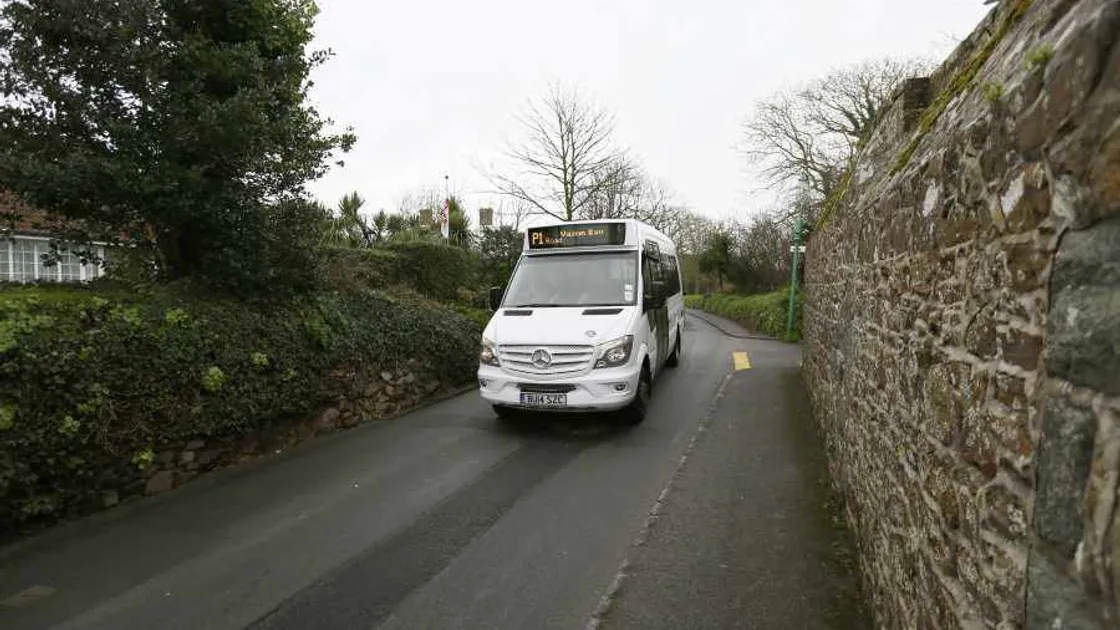 Smaller buses will help stop pavement surfing, says Bug