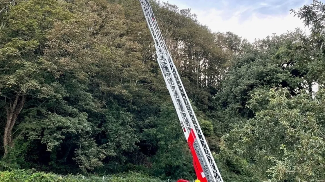 The Guernsey Fire & Rescue Service’s turntable ladder was used to reach a huge Asian hornet nest at La Vallette. (32501721)