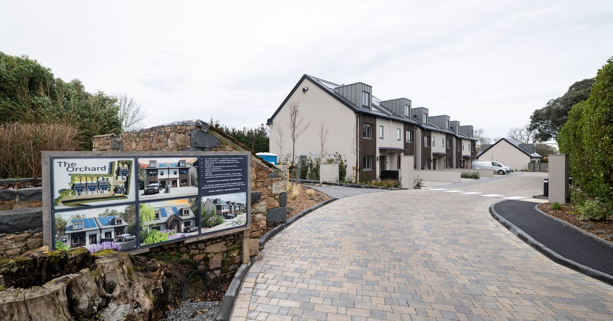 New-build house sales ‘do not represent a market upturn’