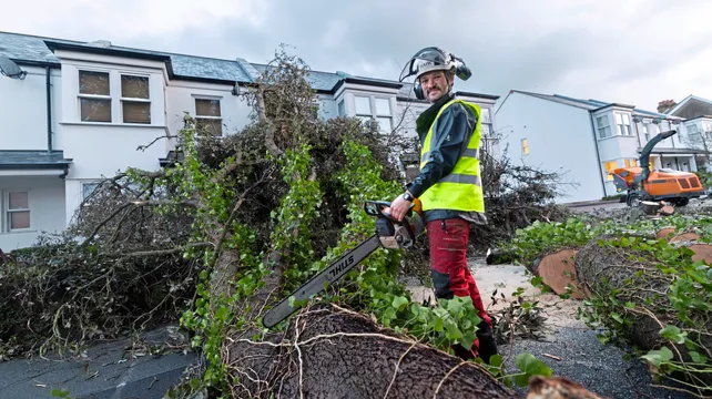 Clean-up operation begins in aftermath of Storm Goretti