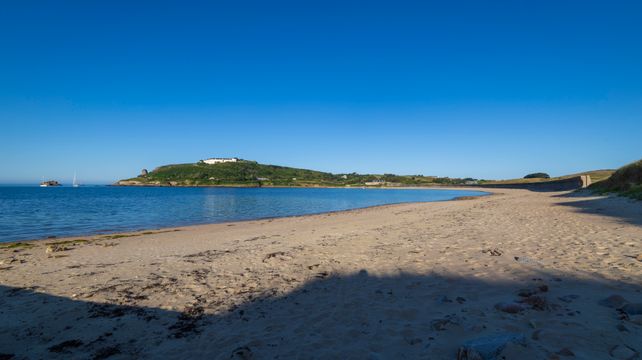 Alderney to allow dogs and horses on Longis Beach in two-year trial