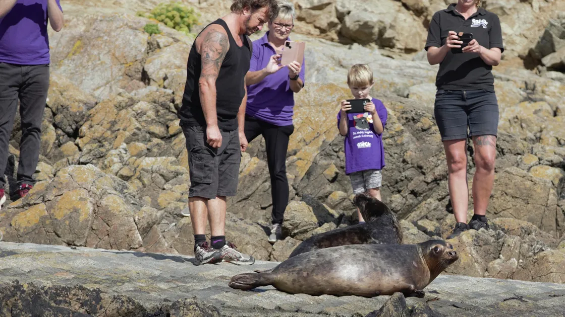 Geoff George, GSPCA head of marine mammals, and other GSPCA staff members at the release of two seal pups, India and Joey, on Monday at a west coast location. (Picture by Danyel VanReenen)