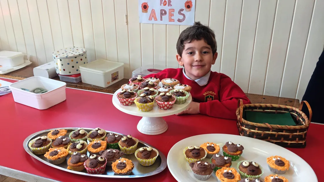George Dyer, 8, manning the cake sale stand. Cakes have been decorated as orang-utans (Picture by Charlotte Le Marquand, 24213886)