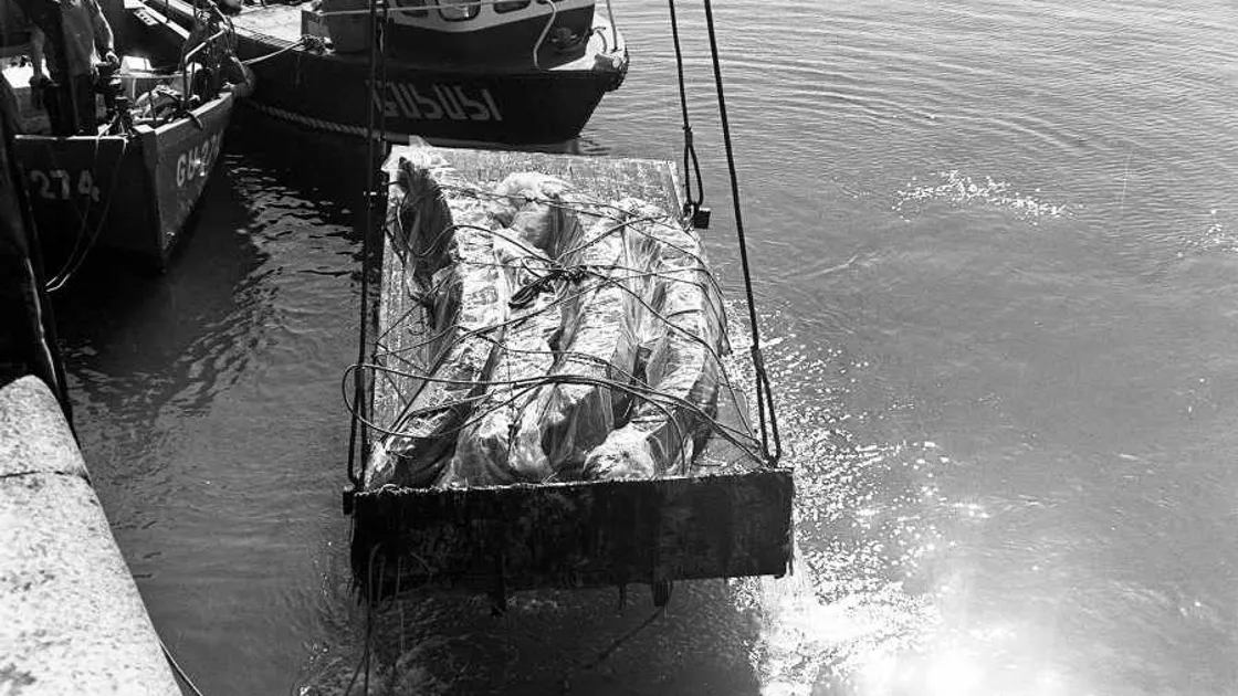 Asterix is due to arrive 'home' today