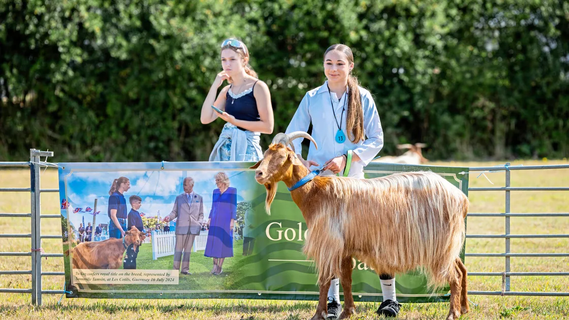 Among the people showing was Chloe Ferbrache, whose three-year-old billy Dribbles came first in best presentation