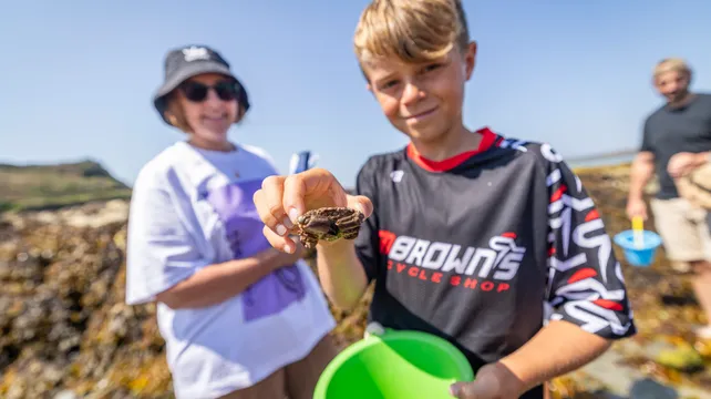 Youngsters’ hands-on crab survey at Portelet harbour