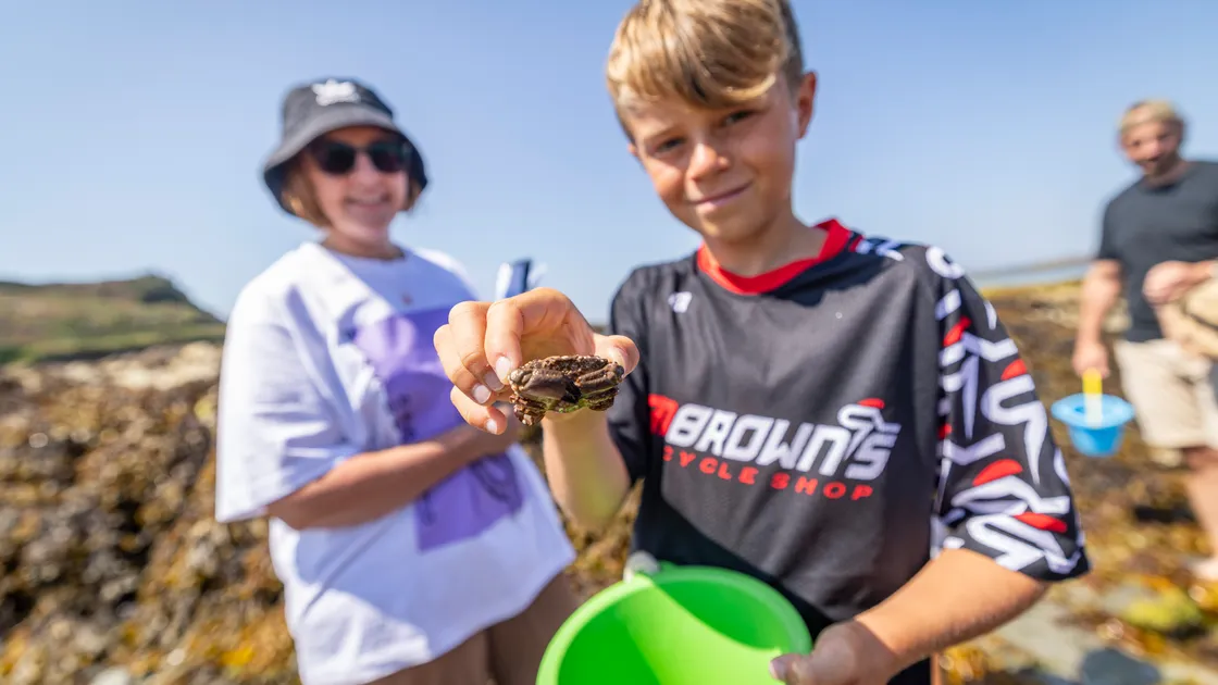 Hugo Johnson, 11, spotted a female Montagu’s Crab down by the shoreline.
