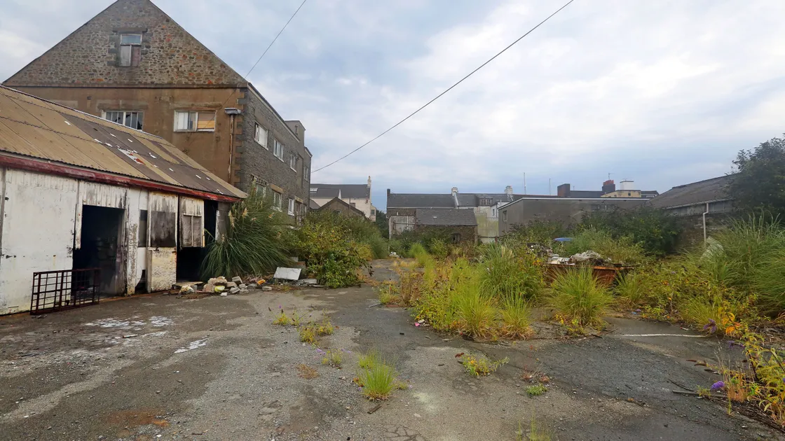 Leale's Yard. (25454366)