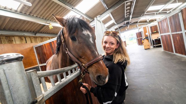 How Fort Road stables became site’s saving grace