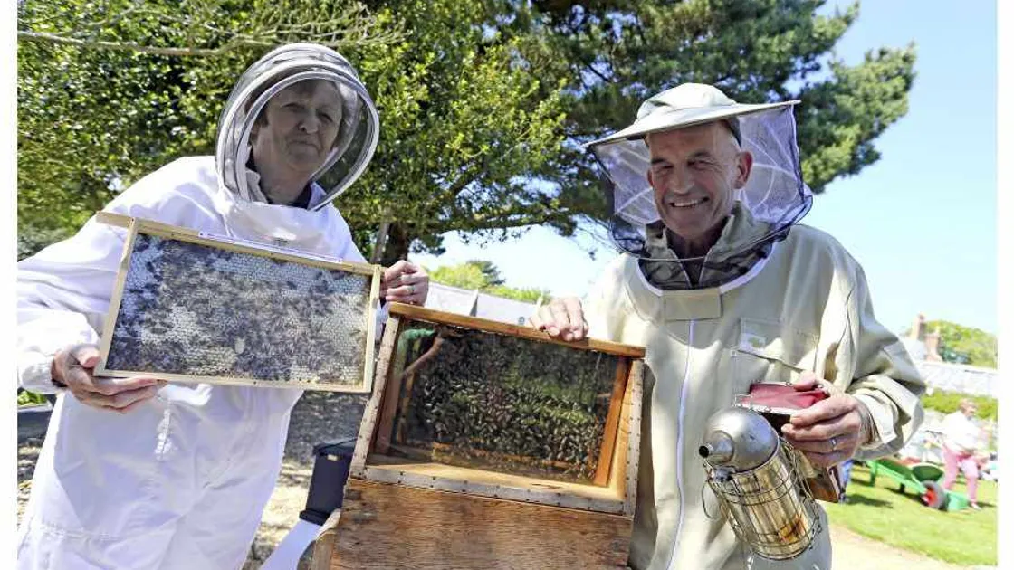 Island's bees are getting along just fine