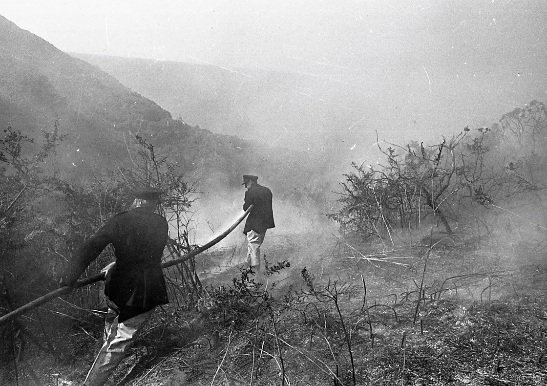 The Fire Brigade maintained a presence at Petit Bot for several days, because water could not be spared to damp down the area.