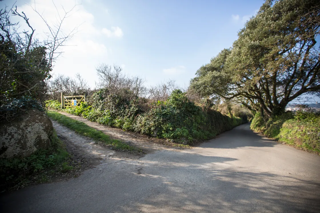 Glamping site in St Peter's. (26948472)