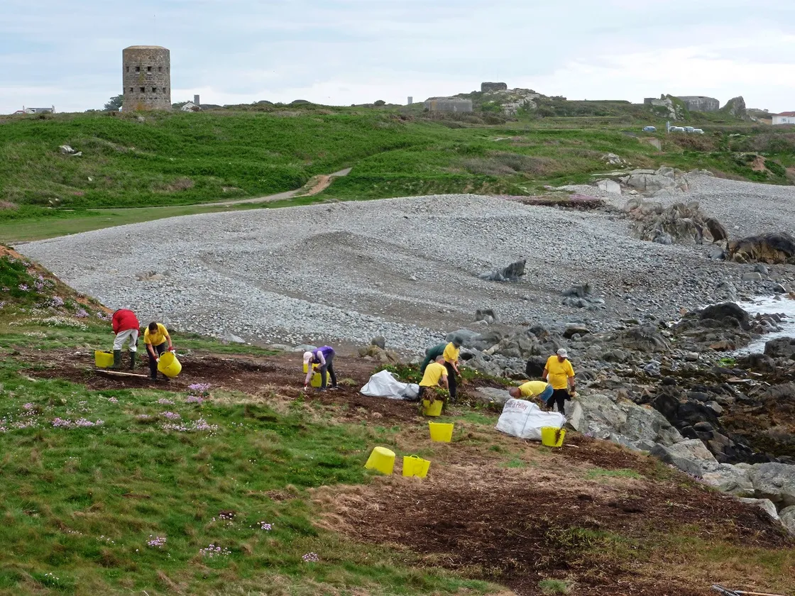 Fort Le Marchant