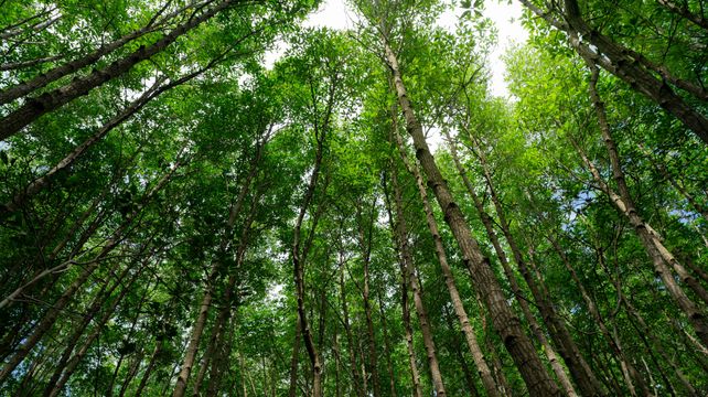 Alex Herschel: Environmental COP season has arrived