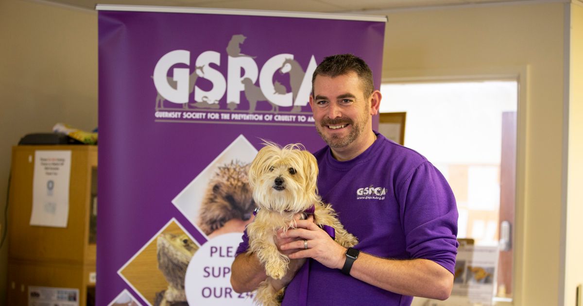 GSPCA manager celebrates 10 years with the charity