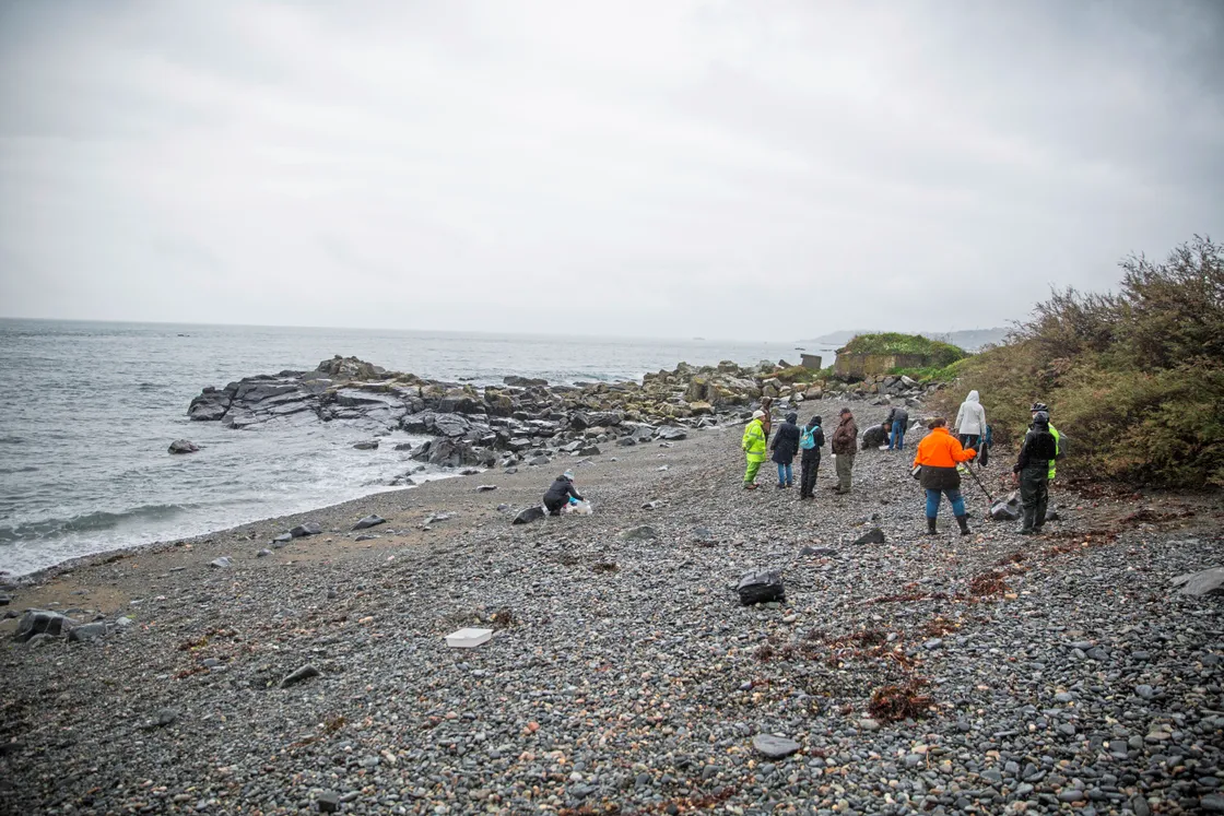 Volunteers joined the hunt for the scaly cricket.(24494324)