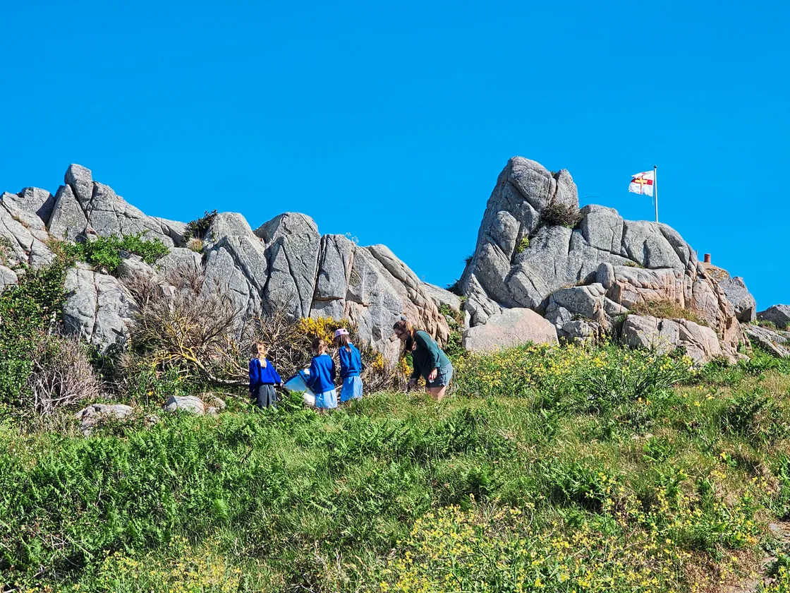 School children searching for bugs