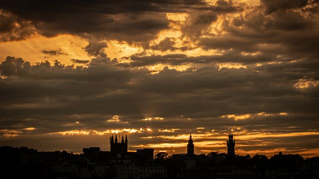 Details of alleged abuse published by The Observer