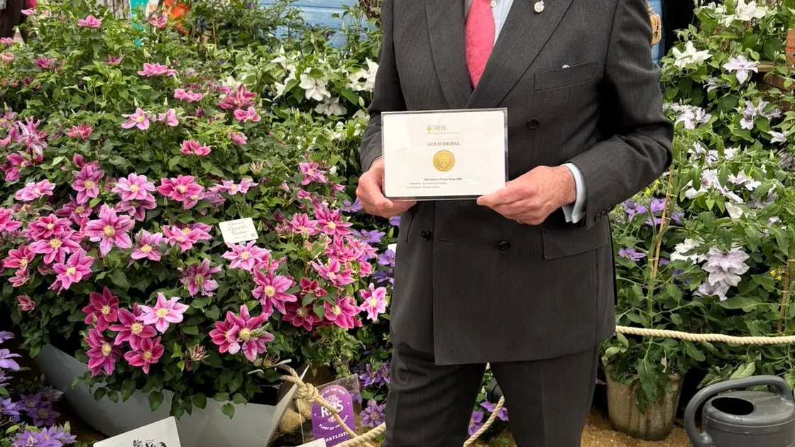 Raymond Evison has won his 36th gold medal at the RHS Chelsea Flower Show. (34766502)
