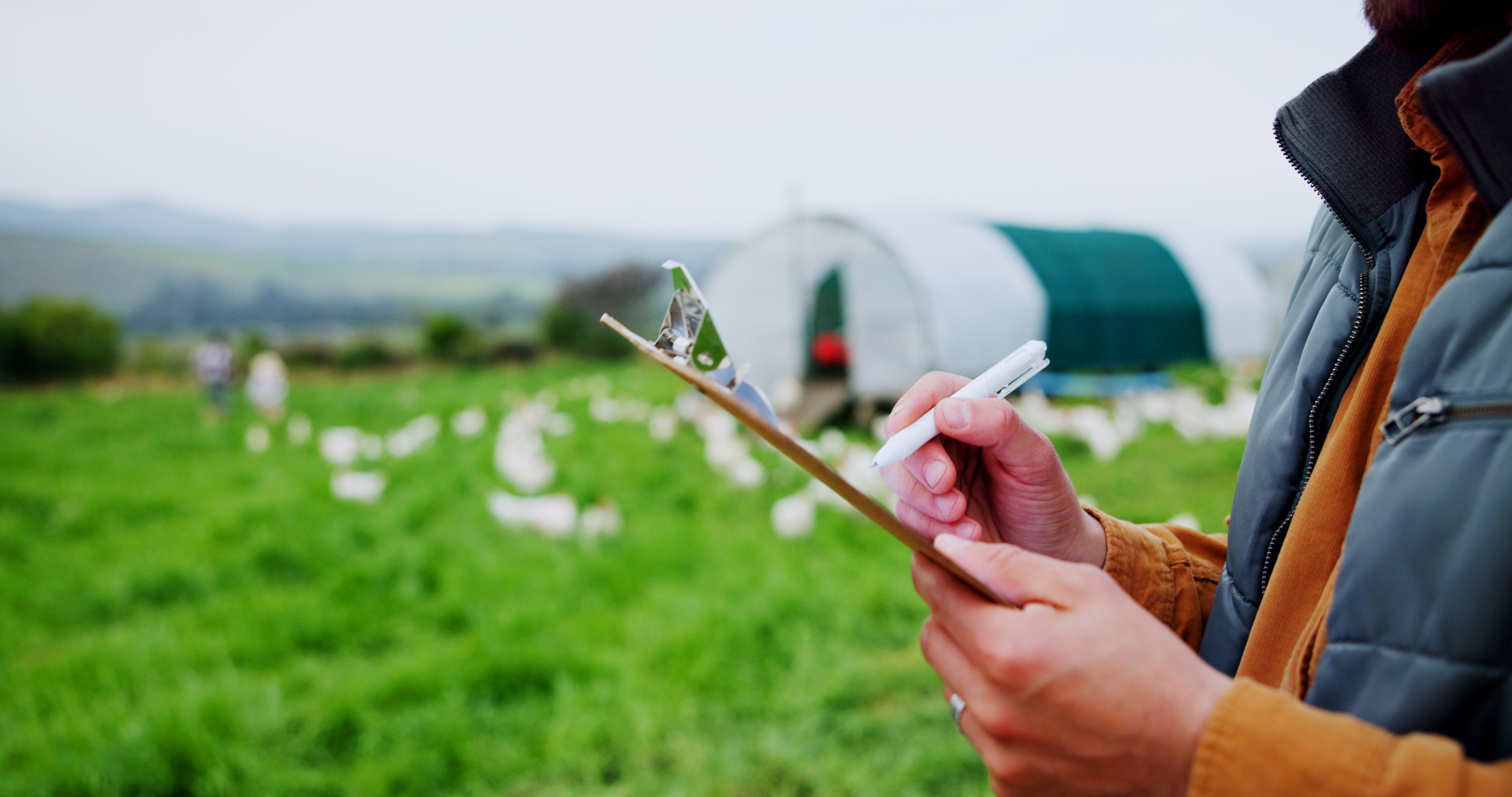 A farming analogy for our tax history and proposed reform