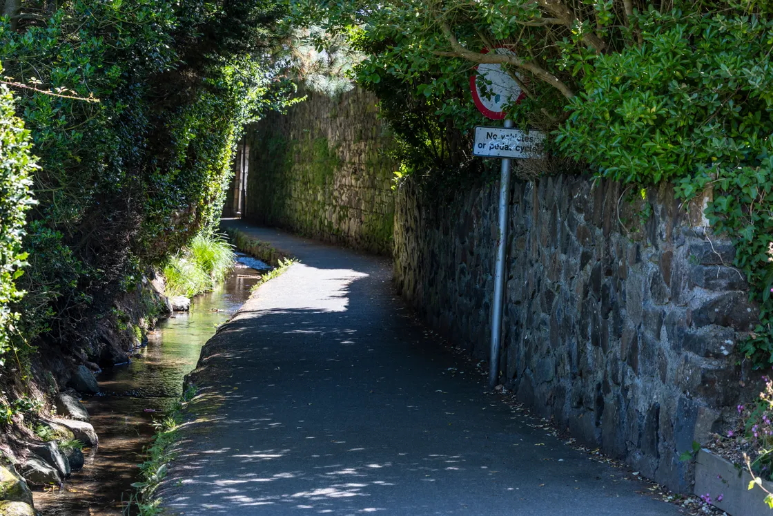 Education has said that plans for the metal grid over a part of the stream have been put on hold