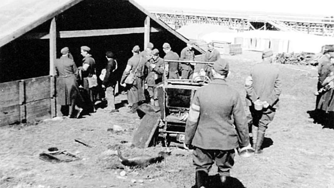Prisoners of war and Nazi soldiers at the anti-tank wall at Platte Saline in Alderney during the occupation. (Picture from Channel Islands Occupation Review)