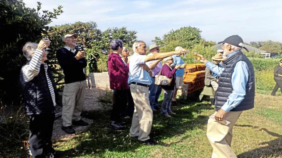 Volunteers raise the roof for Alderney water mill topping out