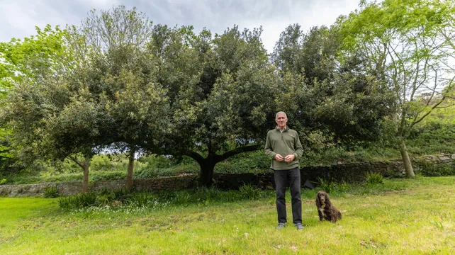 Trees for Life could lobby States to protect trees and hedges