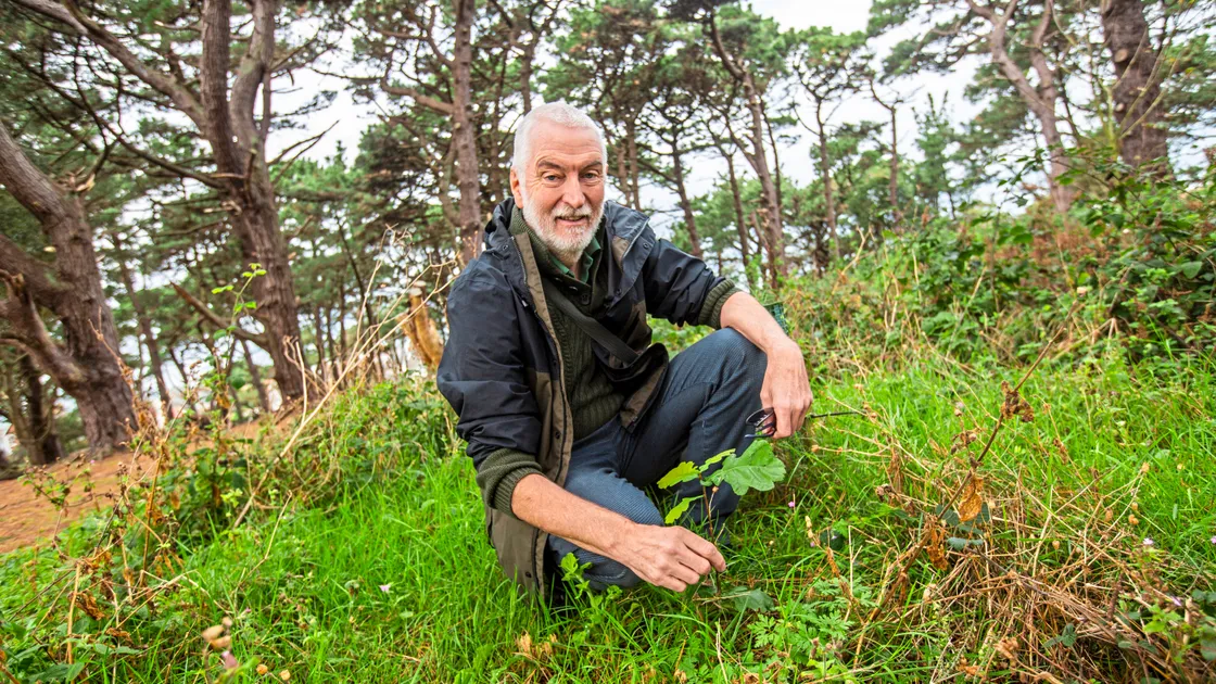 States environmental land manager Andy McCutcheon with a new oak tree growing at Le Guet.  (Picture by Sophie Rabey, 33733948)