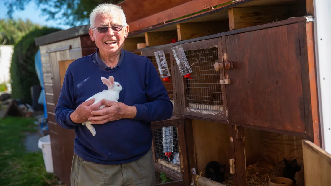 Richard Goman keeps rabbits at his business at Vazon Bay Apartments and has come under fire from local animal charities and pet shop owners about the condition in which they are kept. (Picture by Peter Frankland, 29929078)
