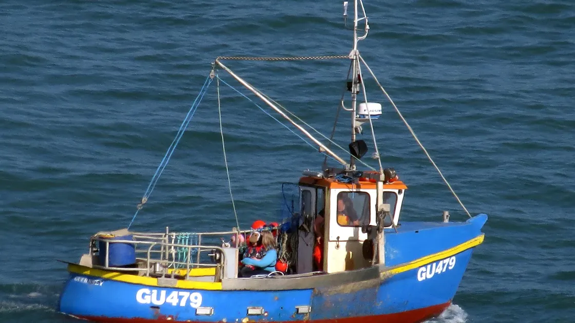 The proposal would most likely give EU fishermen less access to the territories than it currently has under the common fisheries policy, but more than if the UK had sole control. (28709120)