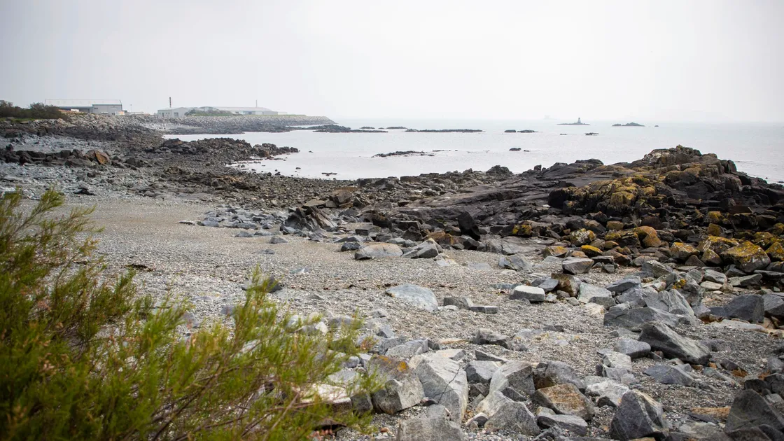 (Picture by Sophie Rabey, 28139466)