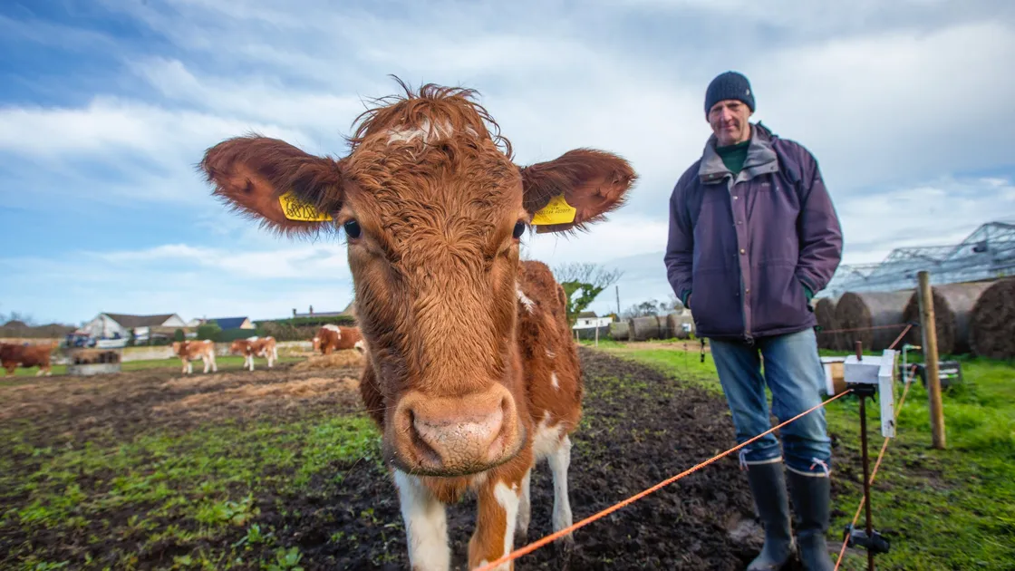 It has been 10 years since the creation of the La Societe conservation herd. Dave Bartram had looked after the herd for four years. (Picture by Peter Frankland, 33064014)