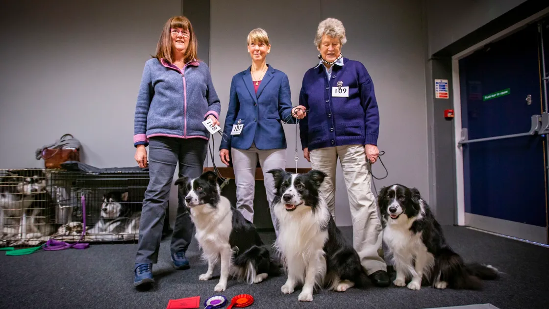 The Guernsey Kennel Club Winter Open Show at Beau Sejour. With the three border collies are, left to right, Karen Seward, Gwen Davies and Pat Hitchon. (Pictures by Sophie Rabey, 30145326)