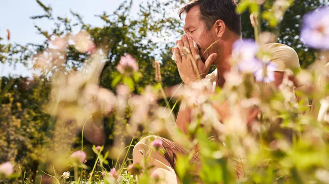 Hay fever misery hits islanders as pollen levels soar