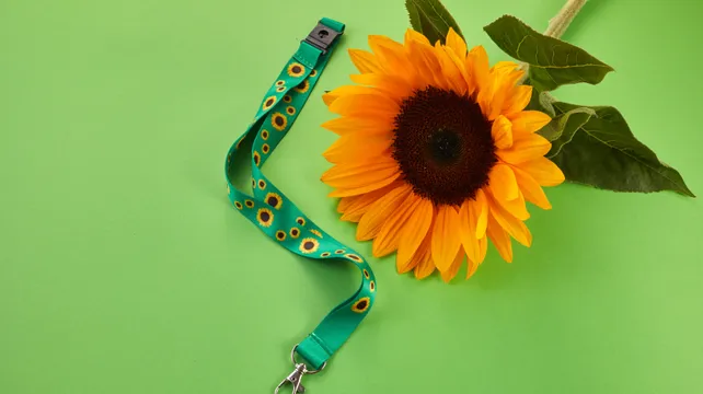 Brent Homan: The power of a sunflower